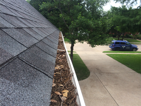 gutter cleaning