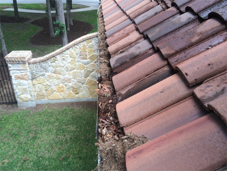 gutter cleaning