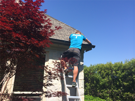 gutter cleaning