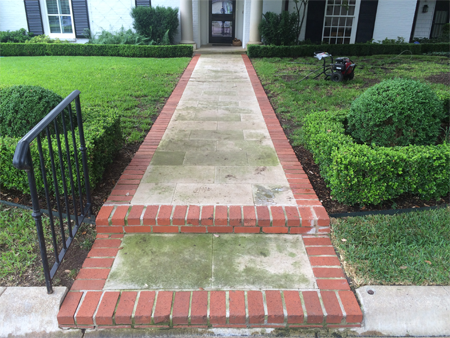 gutter cleaning